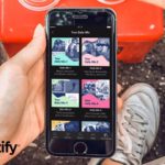 spotify south africa supplied stock