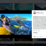 kayaker seal octopus instagram video