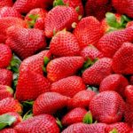 strawberries australia roberto baressi pixabay