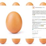 instagram world record egg