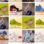 sneakers birds twitter dario taraborelli