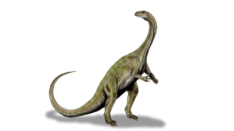 south africa dinosaur ngwevu intloko