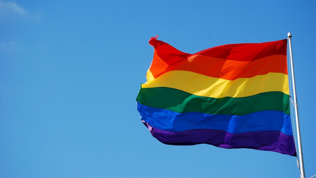 rainbow flag johannesburg pride sandton