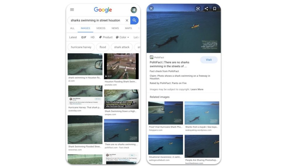 google fact check image search