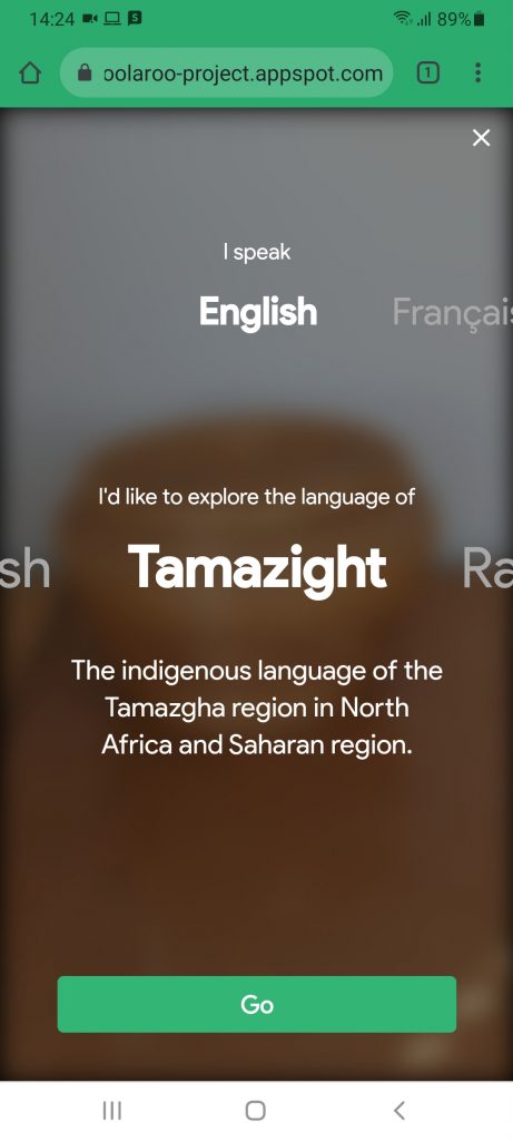 Google Woolaroo indigenous language translation