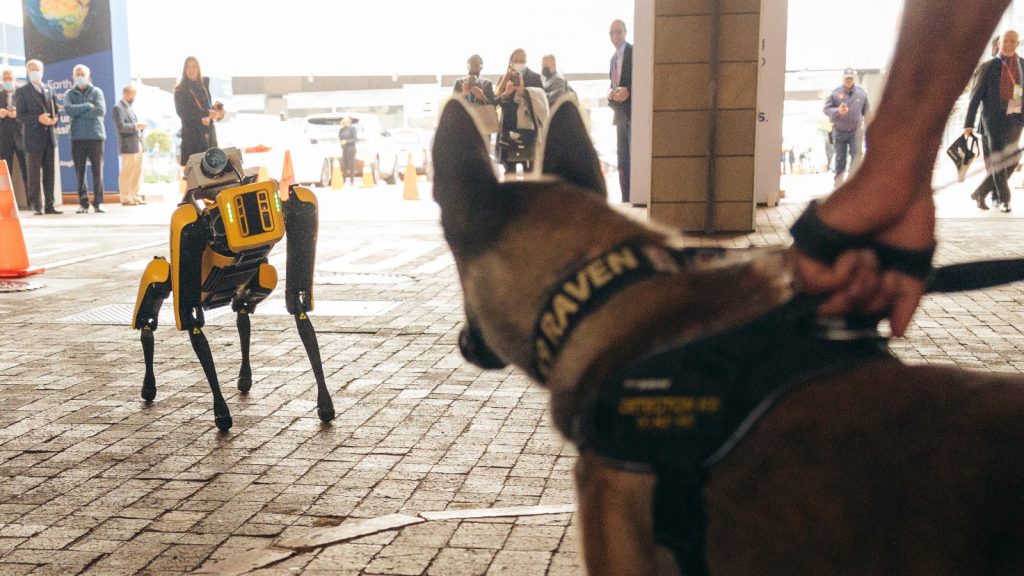 spot robot with actual dog